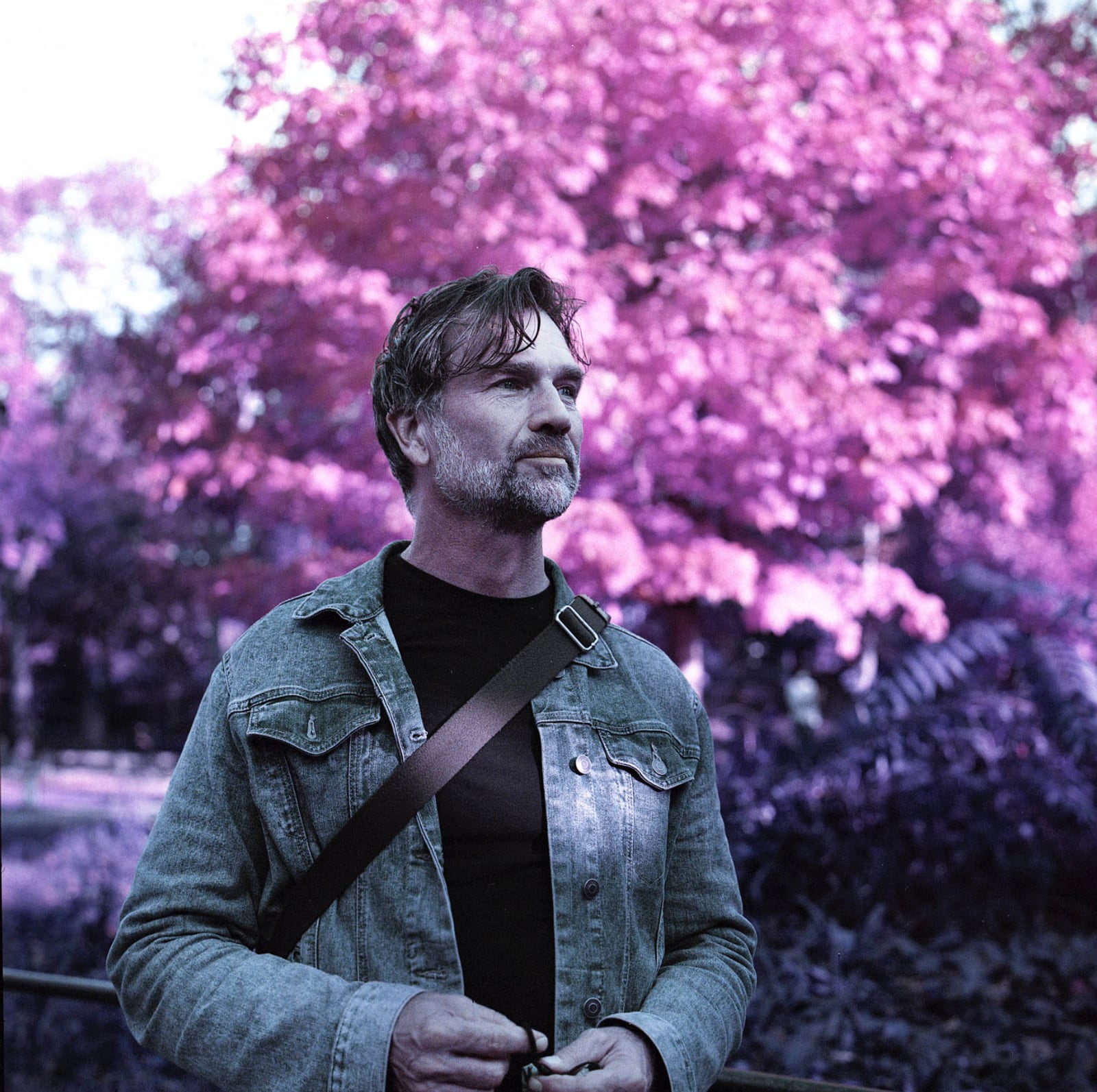 Analog film portrait study, New York